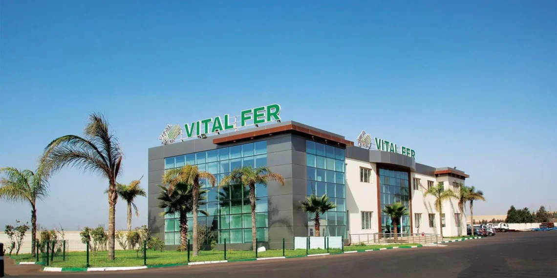 Offres d’Emploi: Vital Fer Recrute Différent Profils (15 Postes)