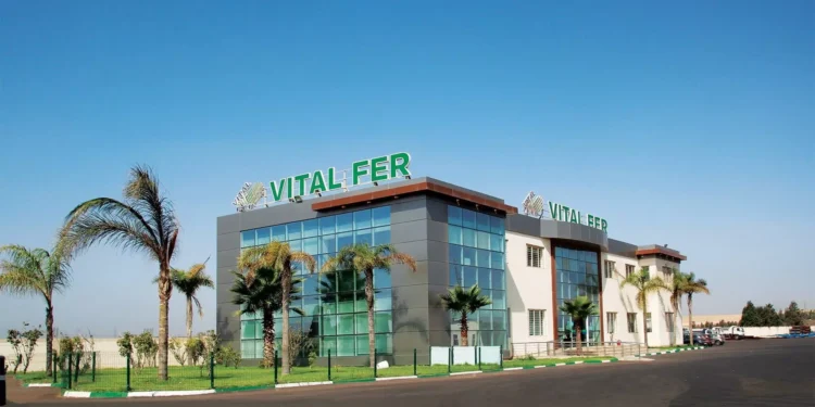 Offres d’Emploi: Vital Fer Recrute Différent Profils (15 Postes)