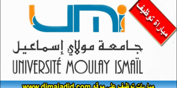 جامعة مولاي إسماعيل – مكناس: مباراة توظيف (10) أساتذة محاضرين في عدة تخصصات، الترشيح قبل 9 شتنبر 2026