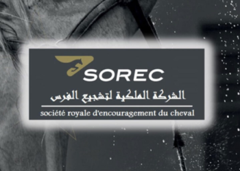 تنظم الشركة الملكية لتشجيع الفرس مباريات توظيف (14) منصب بتخصصات مختلفة (4/Bac+2/3)