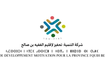 اعلان عن مباراة توظيف (195) سائق للنقل المدرسي بشركة التنمية تحفيز لإقليم الفقيه بن صالح، آخر أجل 17 غشت 2026